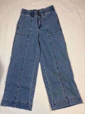 High-Rise Light Blue Wide-Leg Panel Jeans